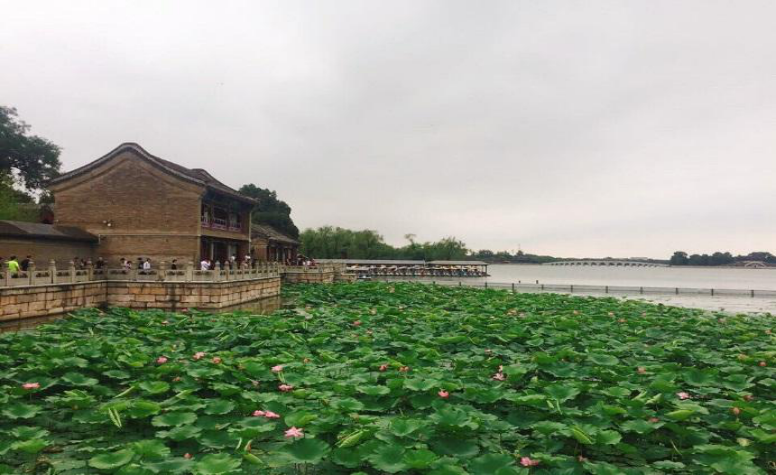 Kunming Lake with blooming lotus flowers